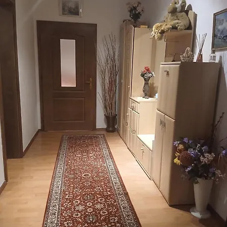 Апартаменты Apartman Vlasenica Vlasenica